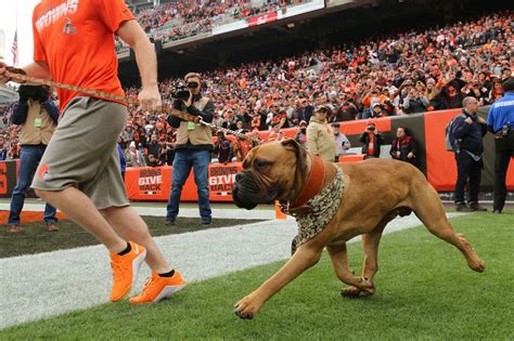 The Marketing Strategy Behind Cleveland Browns Mascots' Swagger